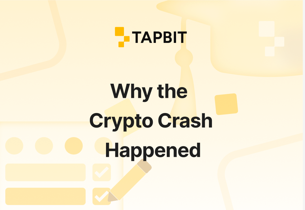 Why the Crypto Crash Happened in 2025 – Full Breakdown