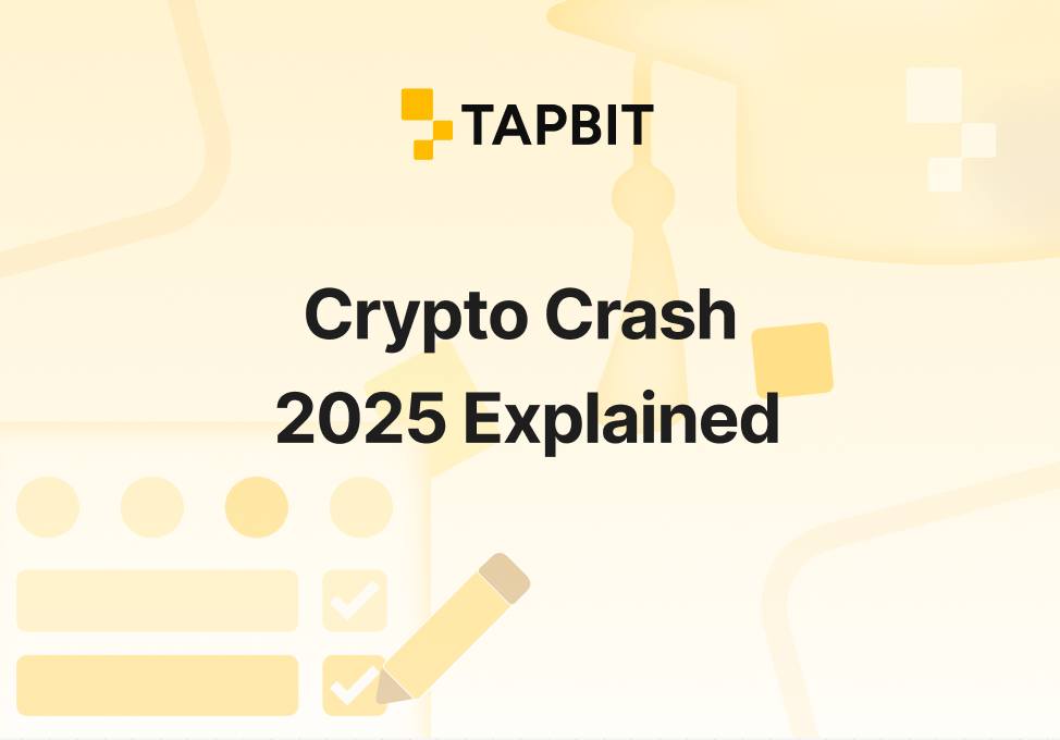 Crypto Crash 2025 Explained: Causes, Timeline & Recovery Guide