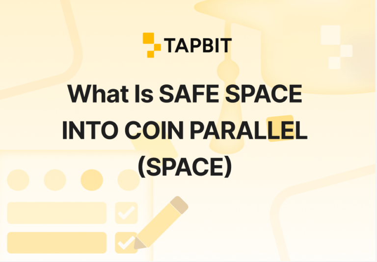 What Is SAFE SPACE INTO COIN PARALLEL (SPACE) And How It Works?