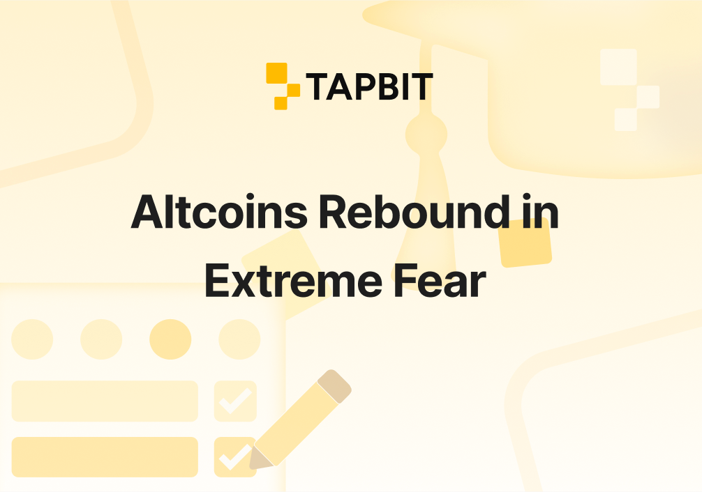 Altcoins Rebound in Extreme Fear (Index 20): XMR +4%, BNB +1.3%, SUI +1.2% – Tapbit Trading Guide