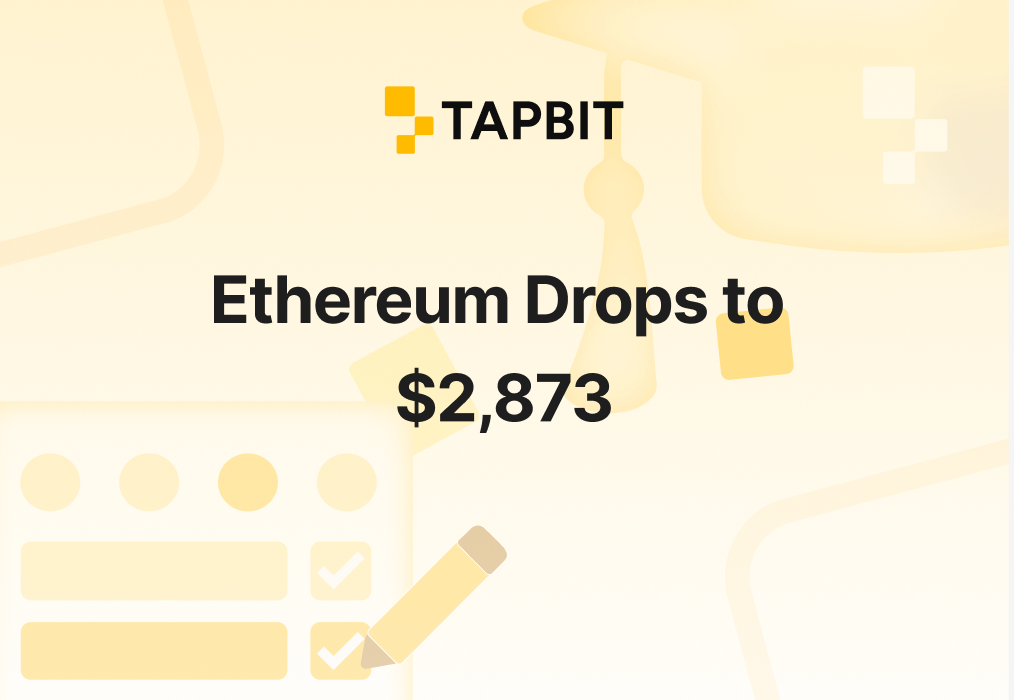 Ethereum Drops to $2,873 – January 26, 2026 Price Analysis & Recovery Outlook