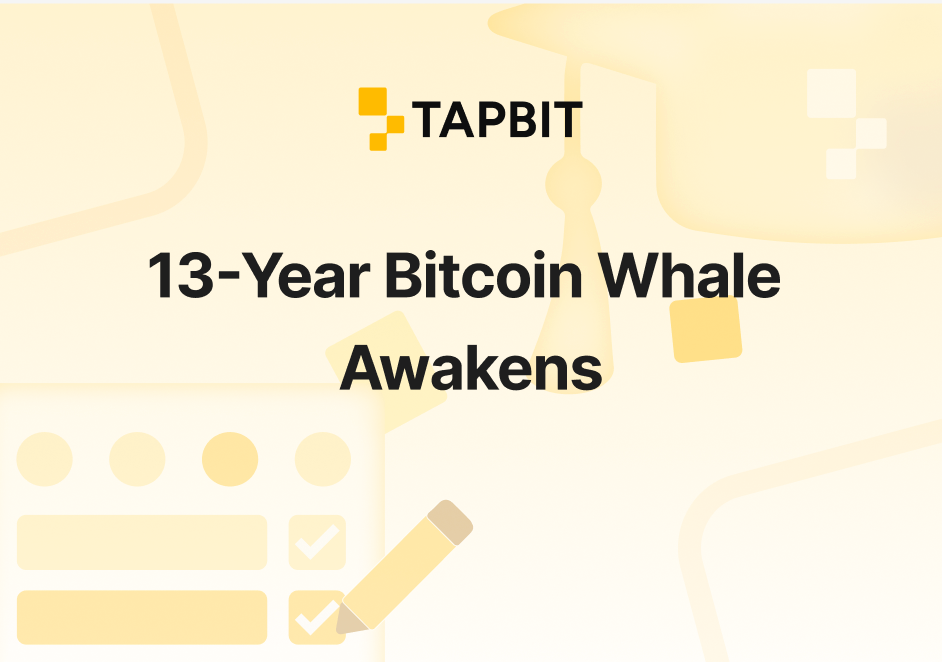 13-Year Bitcoin Whale Awakens: 909 BTC ($85M) Transfer After 13 Years – January 2026 On-Chain Analysis