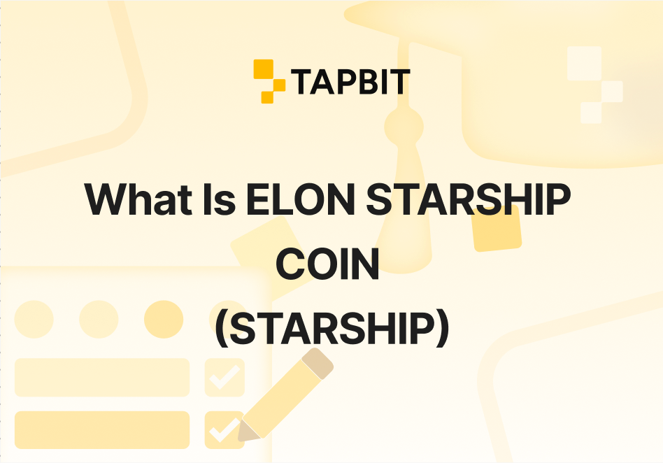 What Is ELON STARSHIP COIN (STARSHIP) And How It Works?
