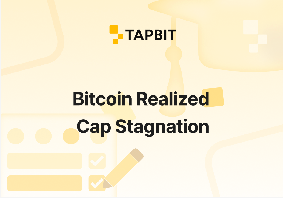 Bitcoin Realized Cap Stagnation: Profit-Taking Dominates, Inflows Dry Up – February 2026 Analysis