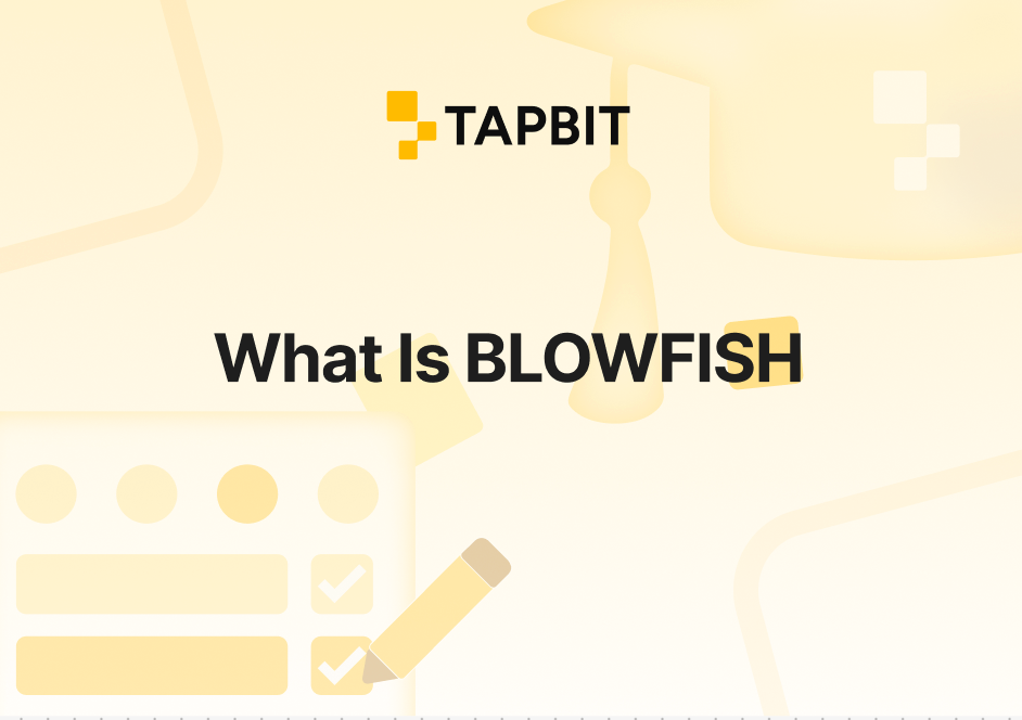 What Is BLOWFISH And How It Works?