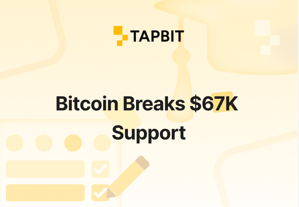 Bitcoin Breaks $67K Support – Decoupling from Stocks Explained (Feb 12, 2026)