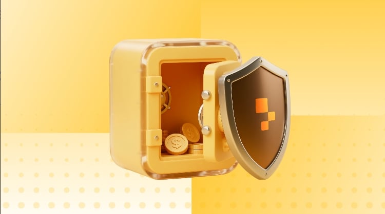 Financial Safeguards